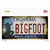 Bigfoot Oklahoma Wholesale Novelty Sticker Decal