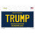 Trump Michigan Blue Wholesale Novelty Rectangular Sticker Decal