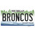 Broncos MI Wholesale Novelty Sticker Decal