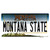 Montana State MT Wholesale Novelty Sticker Decal