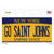 Go Saint Johns NY Wholesale Novelty Sticker Decal