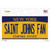 Saint Johns Fan NY Wholesale Novelty Sticker Decal