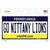 Go Nittany Lions PA Wholesale Novelty Sticker Decal