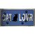 Cat Lover Blue Brushed Chrome Wholesale Novelty Sticker Decal
