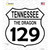 Tennessee Dragon 129 Wholesale Novelty Highway Shield Sticker Decal