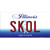 Skol Illinois Wholesale Novelty Sticker Decal