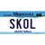 Skol Minnesota Wholesale Novelty Sticker Decal
