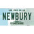 Newbury New Hampshire Wholesale Novelty Sticker Decal