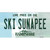 Ski Sunapee New Hampshire Wholesale Novelty Sticker Decal