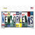 New Orleans License Plate Art Wholesale Novelty Sticker Decal