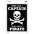 Play Like A Pirate Skull Wholesale Novelty Rectangle Sticker Decal