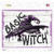 Basic Witch Purple Wholesale Novelty Rectangle Sticker Decal