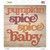 Pumpkin Spice Baby Wholesale Novelty Square Sticker Decal