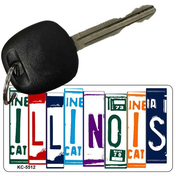 Illinois License Plate Art Metal Novelty Key Chain