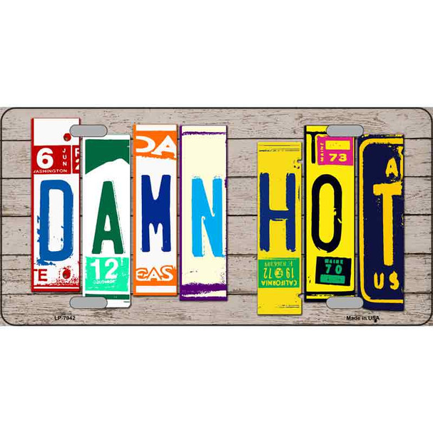 Damn Hot Wood License Plate Art Novelty Wholesale Metal License Plate