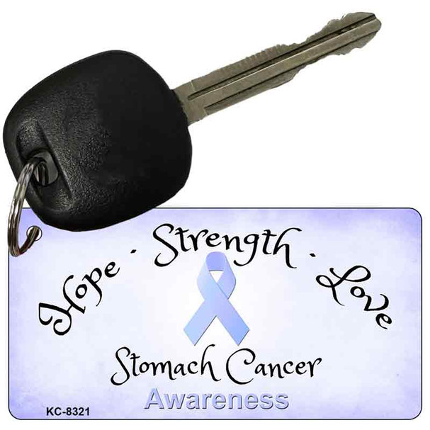 Stomach Cancer Ribbon Wholesale Novelty Key Chain