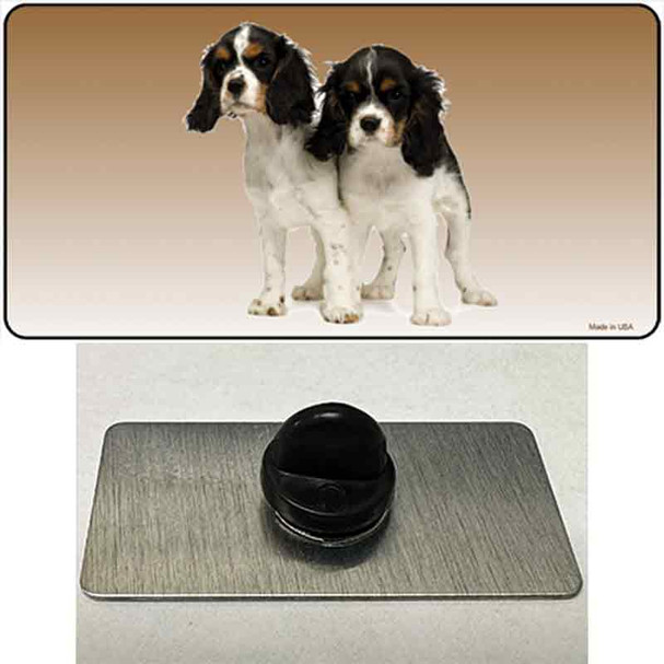 Cavalier King Charles Spaniel Dog Wholesale Novelty Metal Hat Pin