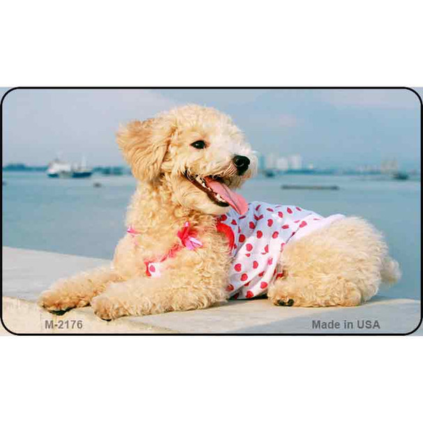 Poodle Wholesale Magnet M-2176