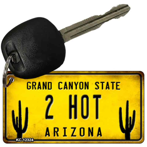 Arizona 2 Hot Wholesale Novelty Metal Key Chain