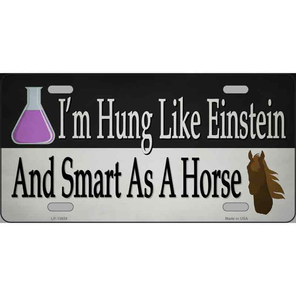 Hung Like Einstein Wholesale Novelty Metal License Plate Tag