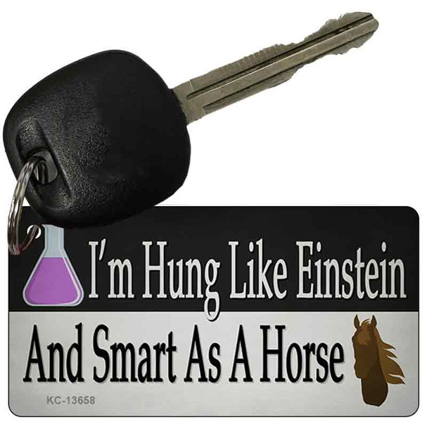 Hung Like Einstein Wholesale Novelty Metal Key Chain