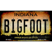 Bigfoot Indiana Wholesale Novelty Metal Magnet