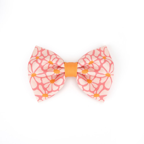 Bow Tie