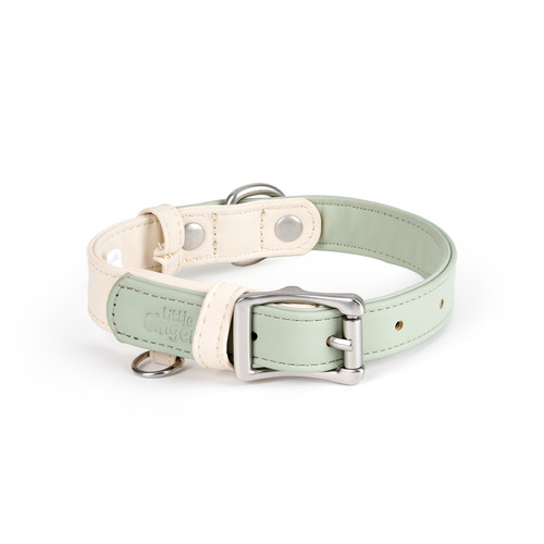 Vegan Collar Mint Green and Latte