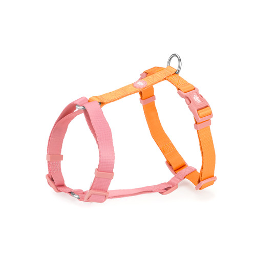 Compact Harness Tutti-Fruity