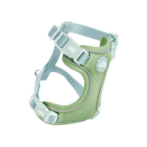 Small Pet Harness Spearmint
