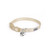 Breakaway Cat Collar