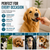 Pet Republic Dental stick with Duck 100g size S