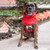 GF PET - Elasto-Fitreversable Raincoat - Red / Abstract