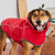GF PET - Elasto-Fitreversable Raincoat - Red / Abstract