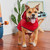 GF PET - Elasto-Fitreversable Raincoat - Red / Abstract