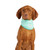 GF PET - Ice Band