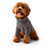 GF PET - Gondola Baselayer - Charcoal