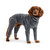 GF PET - Gondola Onesie - Charcoal