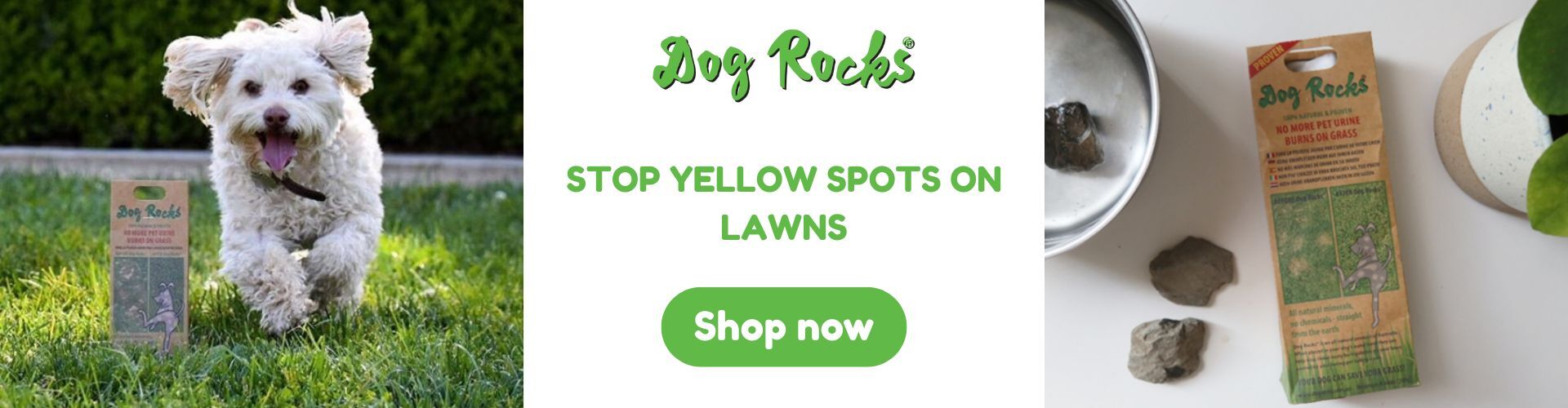 PetFellas - Dog Rocks