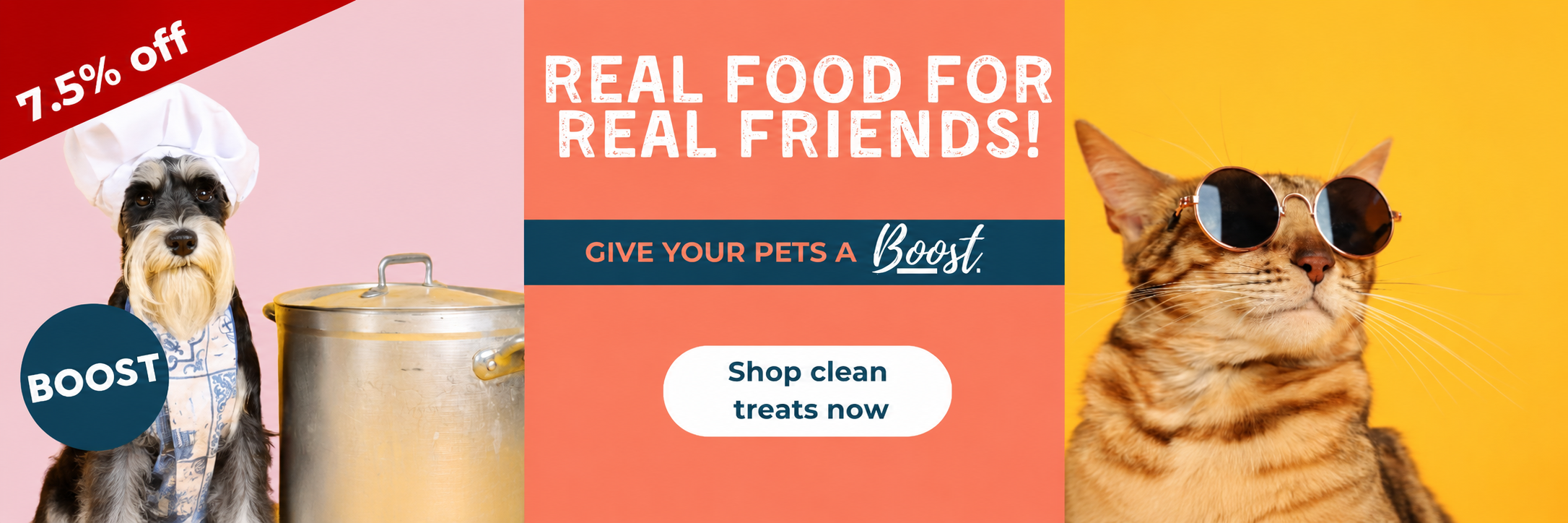 PetFellas - BOOST treats