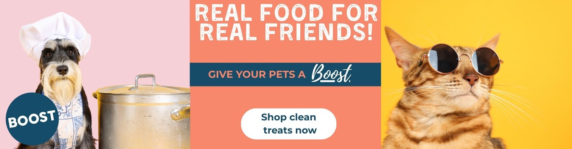 PetFellas - BOOST treats