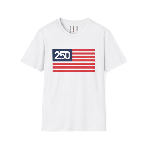 USA 250 Anniversary Semiquincentennial Flag Independence Day Softstyle T-Shirt Sestercentennial Quarter-Millennial