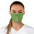 Merry Christmas Tree XMAS Green Fabric Face Mask