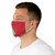 Merry Christmas Tree XMAS Red Fabric Face Mask