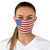 USA Flag United States of America Fabric Face Mask