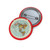 Gleason's 1892 New Standard Map of the World Flat Earth Custom Pin Buttons