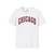 Chicago Arch Logo Softstyle T-Shirt — Retro City Crew Letterman Tee Illinois Windy City