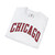 Chicago Arch Logo Softstyle T-Shirt — Retro City Crew Letterman Tee Illinois Windy City