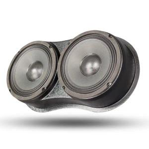 Custom Speaker Pods Custom Speaker Pods Brand – Dual 8″ Universal Flat Speaker Pods for any flat mounting location