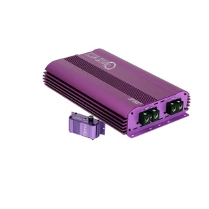 Down4Sound JP33 V2 PURPLE | 3300W RMS AMPLIFIER